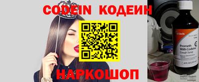 индика Кингисепп
