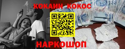 индика Кингисепп