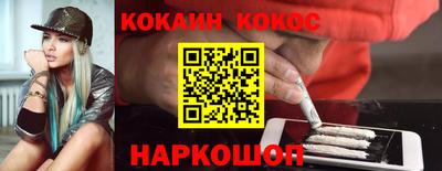 индика Кингисепп