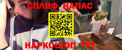 индика Кингисепп