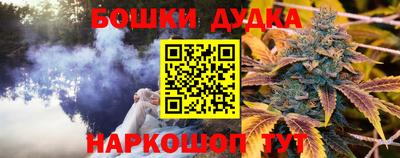 индика Кингисепп
