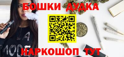 индика Кингисепп