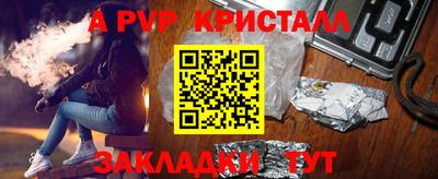 индика Кингисепп