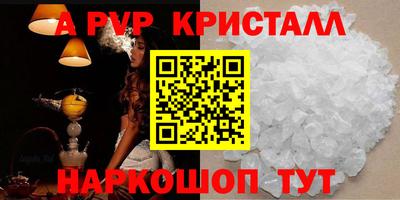 индика Кингисепп