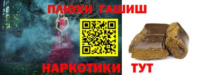 индика Кингисепп