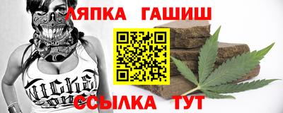 индика Кингисепп