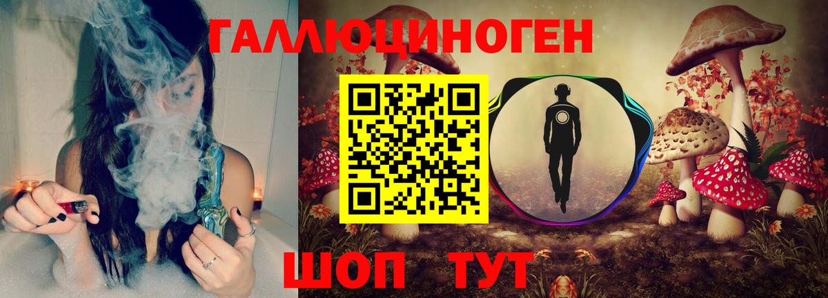 Псилоцибиновые грибы Psilocybe Кострома