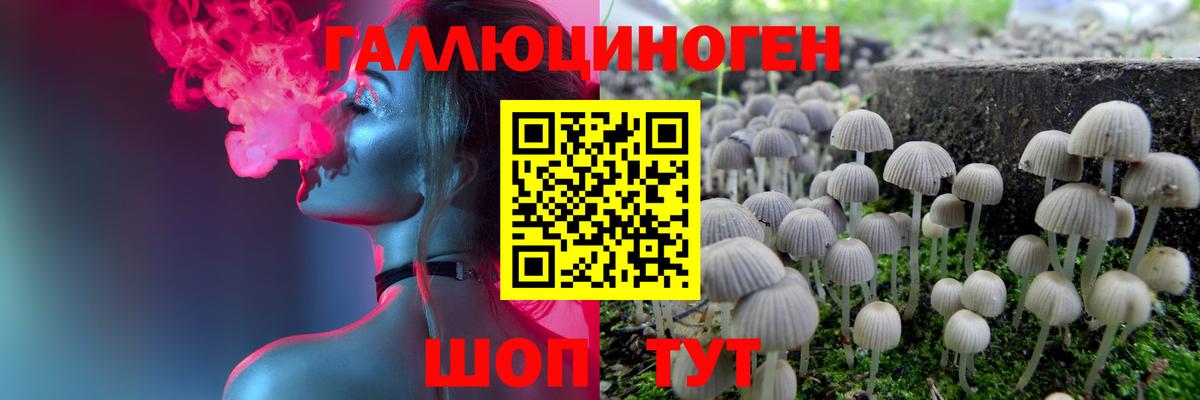 Кострома  Псилоцибиновые грибы Psilocybine cubensis  закладки  Галлюциногенные грибы GOLDEN TEACHER  Вход с VPN 