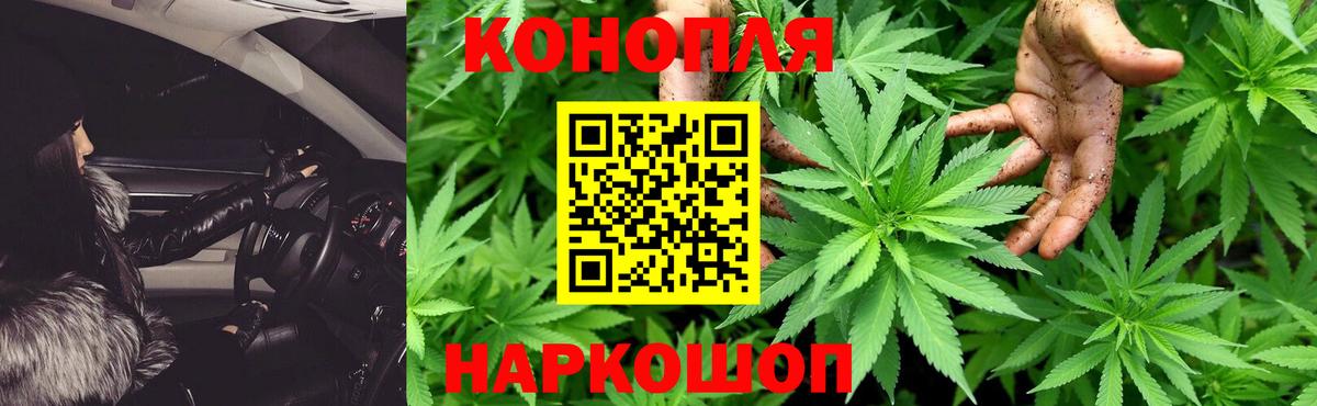 Конопля планчик  Шишки марихуана план  Каннабис THC 21%  Марихуана марихуана  Кострома  Вход с VPN 
